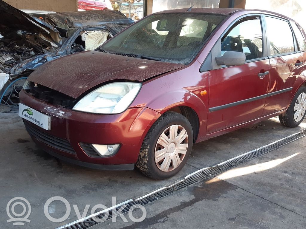 Fiesta Fiesta  1436170