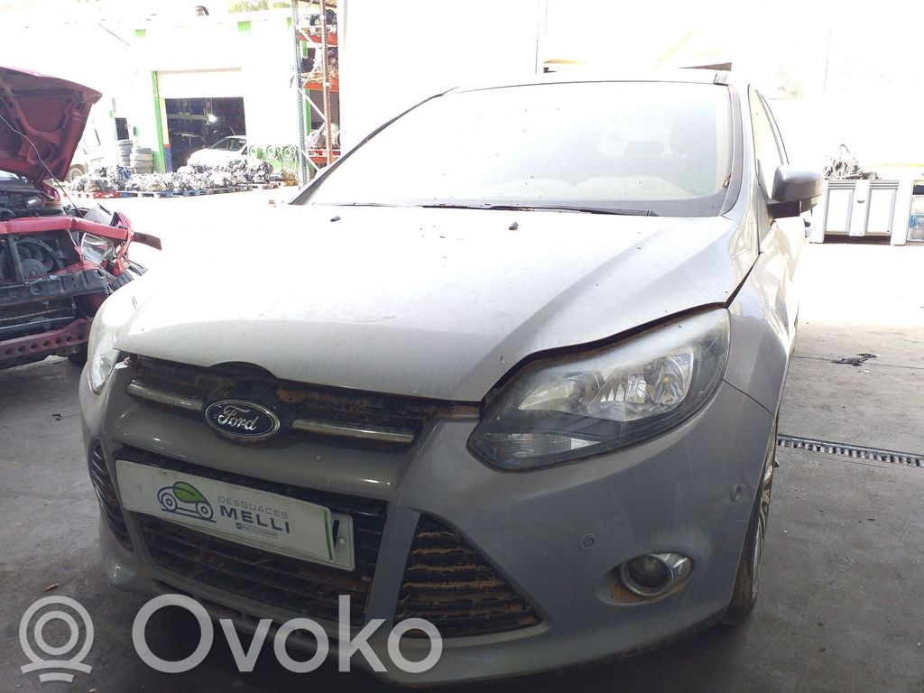 Focus Focus  1691718