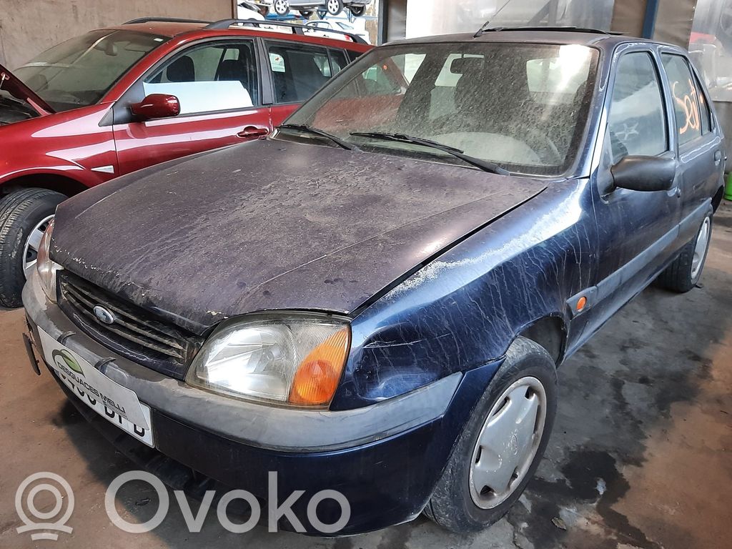Fiesta Fiesta  95BF9B969
