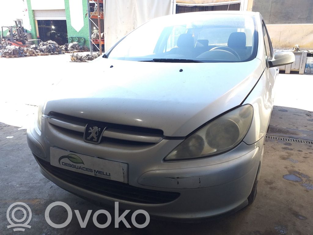 307 307  9653873280