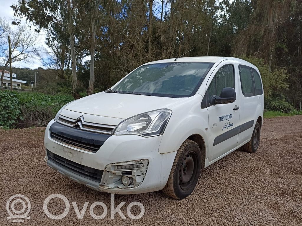 Berlingo Berlingo  A52103100