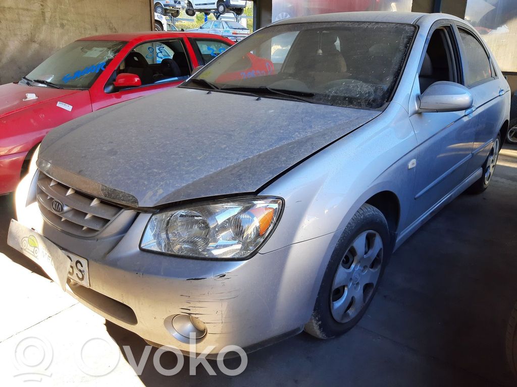 Cerato Cerato  976062FXXX