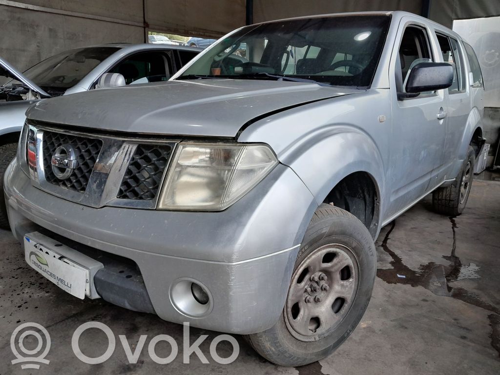 Pathfinder R51 Pathfinder  8ML376746041