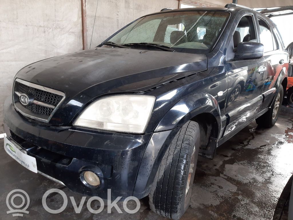 Sorento Sorento  495003E000