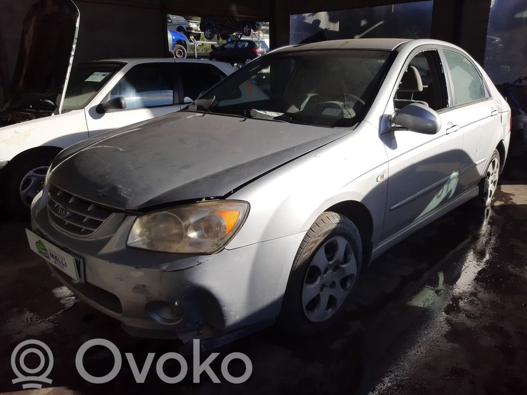 Cerato Cerato  3912026740