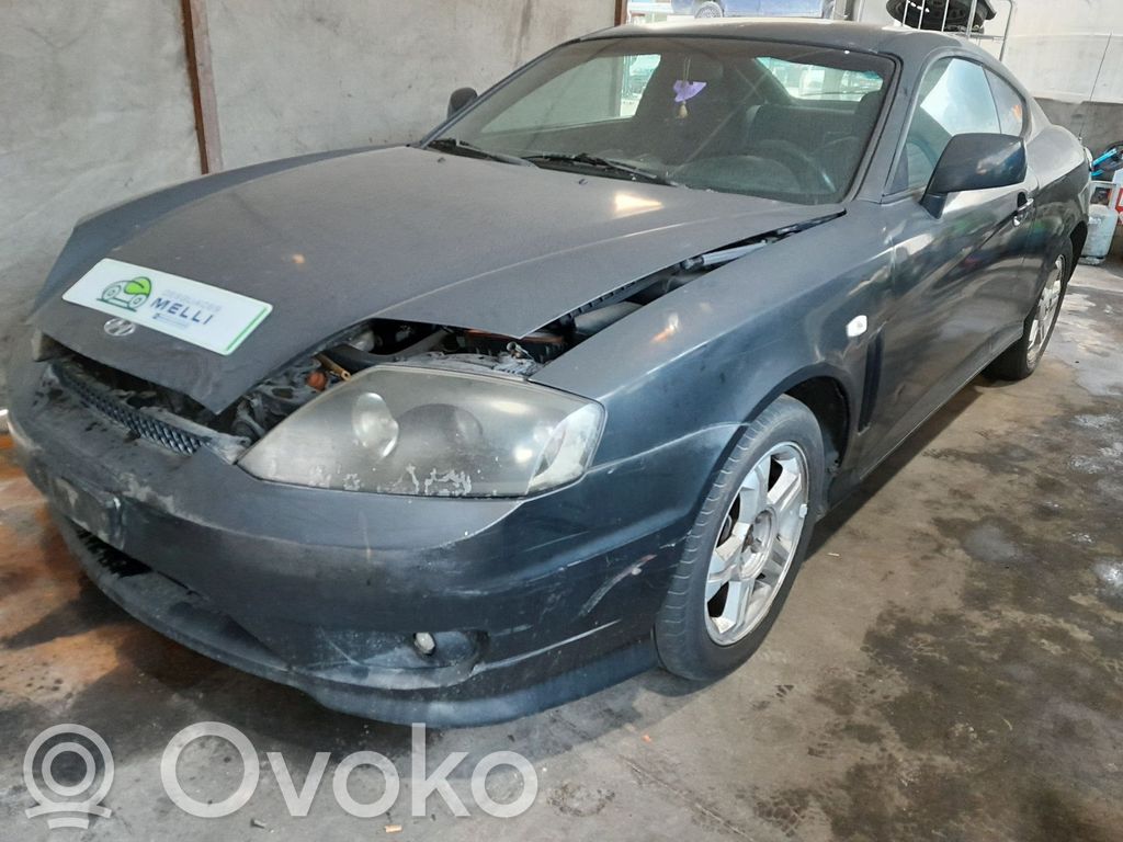Coupe Coupe  876202C100
