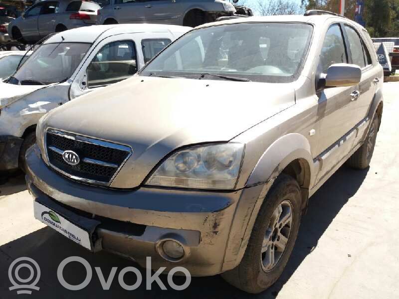 Sorento Sorento  954003E300