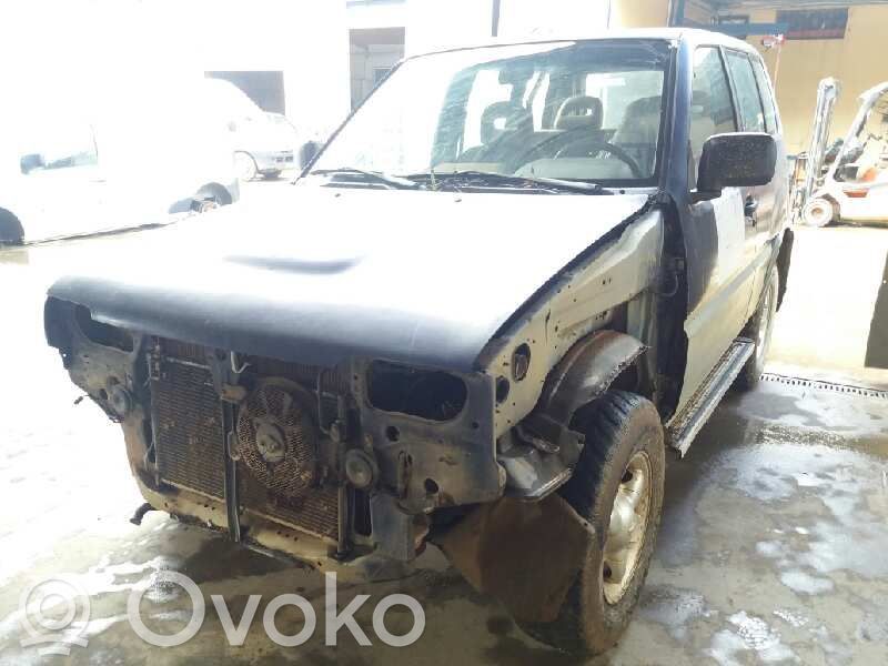 Terrano Terrano  248110F000