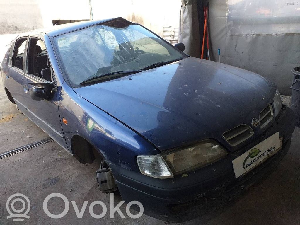 Primera Primera  255602F015