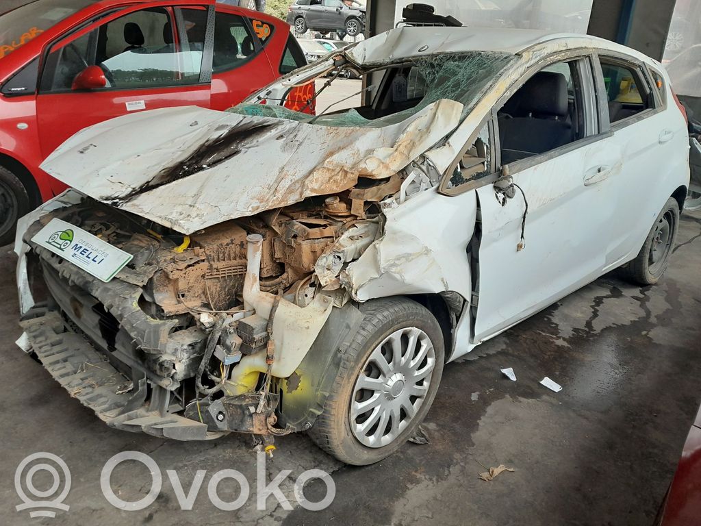 Fiesta Fiesta  C1BT13A024DB