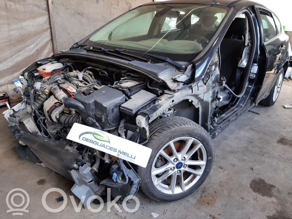 Focus Focus  DV612B195AA