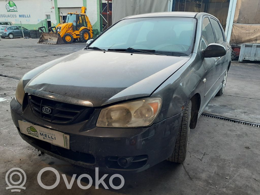 Cerato Cerato  770032F210