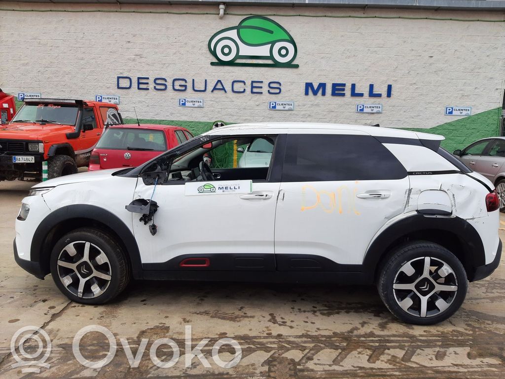 C4 Cactus C4 Picasso, Grand Picasso, Aircross, Cactus  98304405ZD