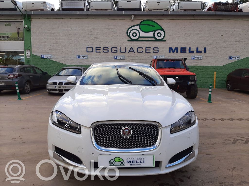 XF X250 XF  C2Z15962SEL