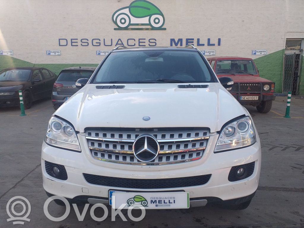 ML W164 ML-class, AMG (W163, W164, W166)  A1648703410