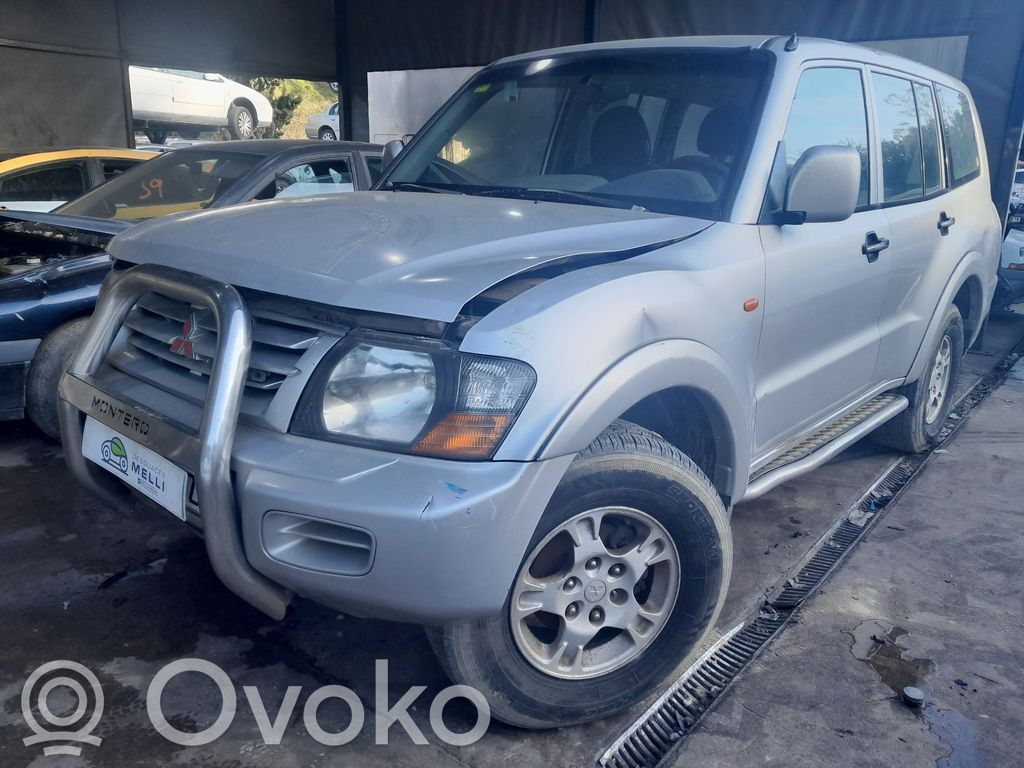 Montero Montero  MZ312395