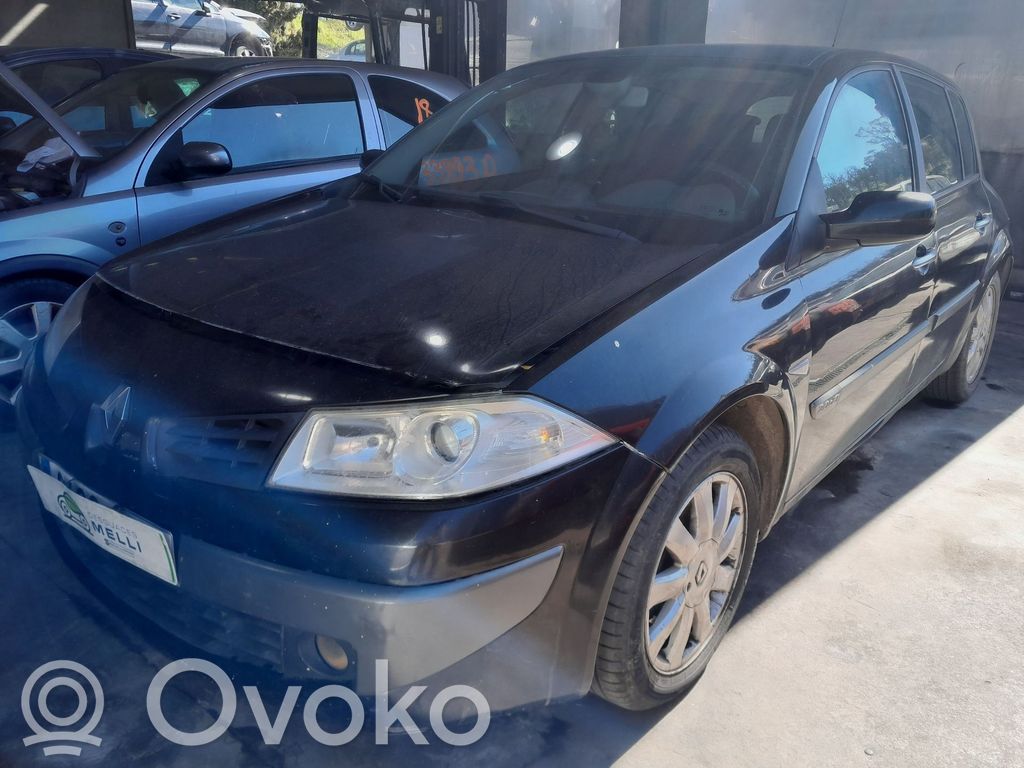 Megane II Megane  8200356669D