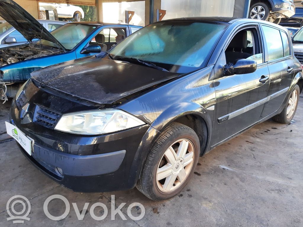 Megane II Megane  8200381849A