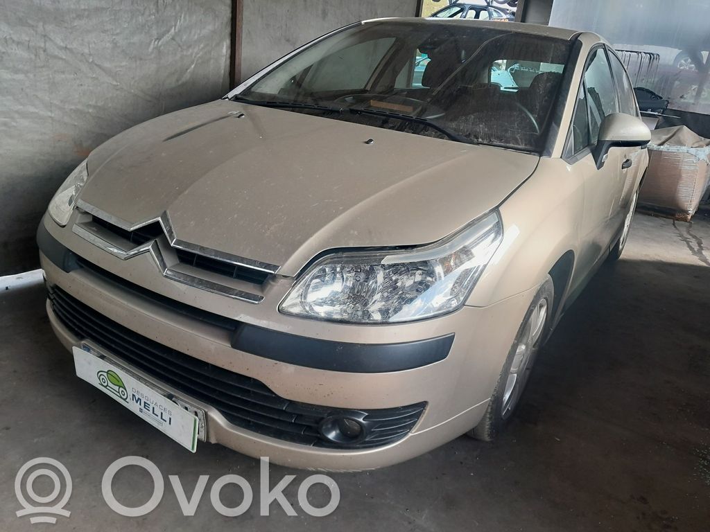 C4 I C4 Picasso, Grand Picasso, Aircross, Cactus  0204051007