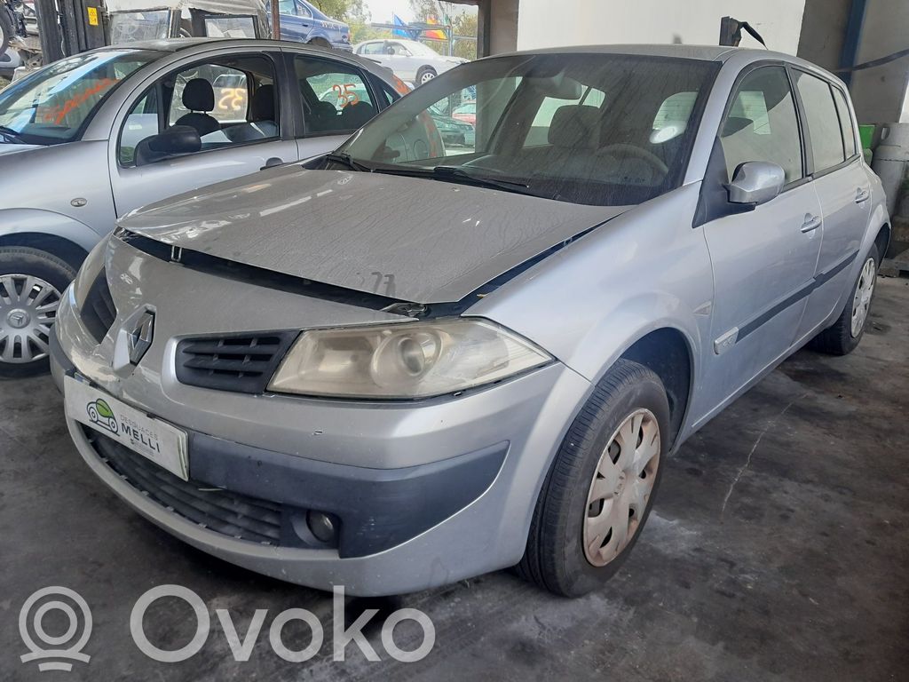 Megane II Megane  8200565863