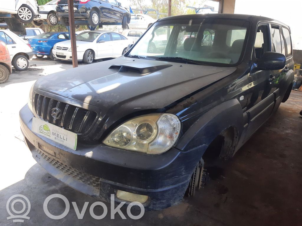 Terracan Terracan  76010H1010