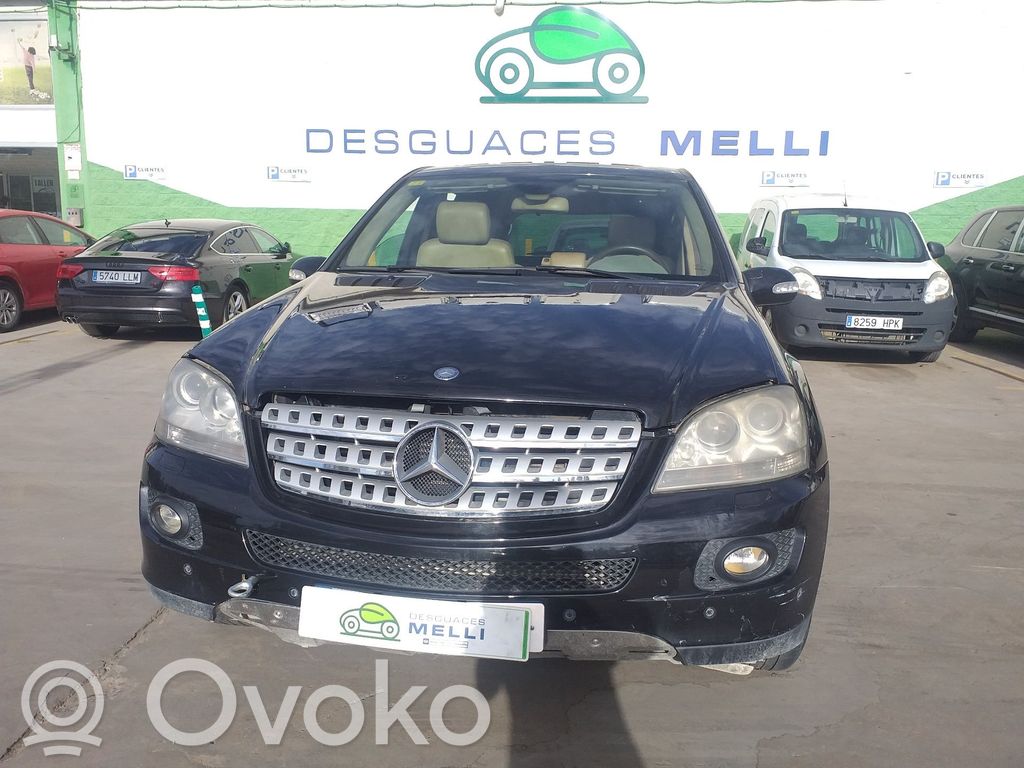 ML W164 ML-class, AMG (W163, W164, W166)  1643501606