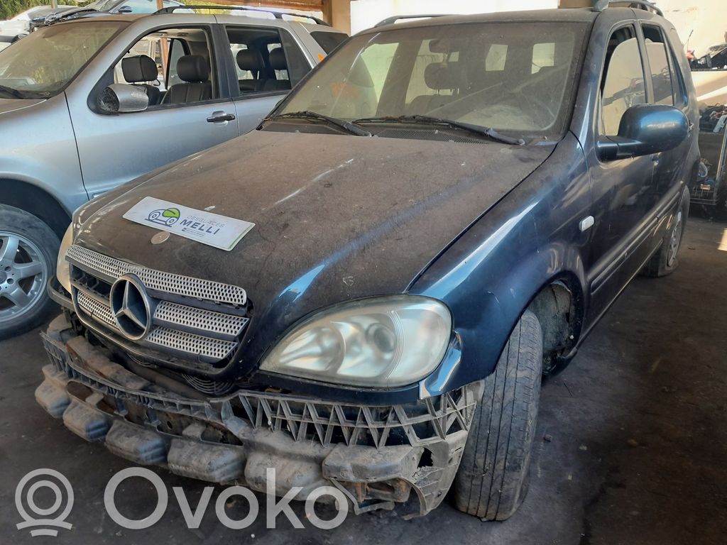 ML W163 ML-class, AMG (W163, W164, W166)  163410020139