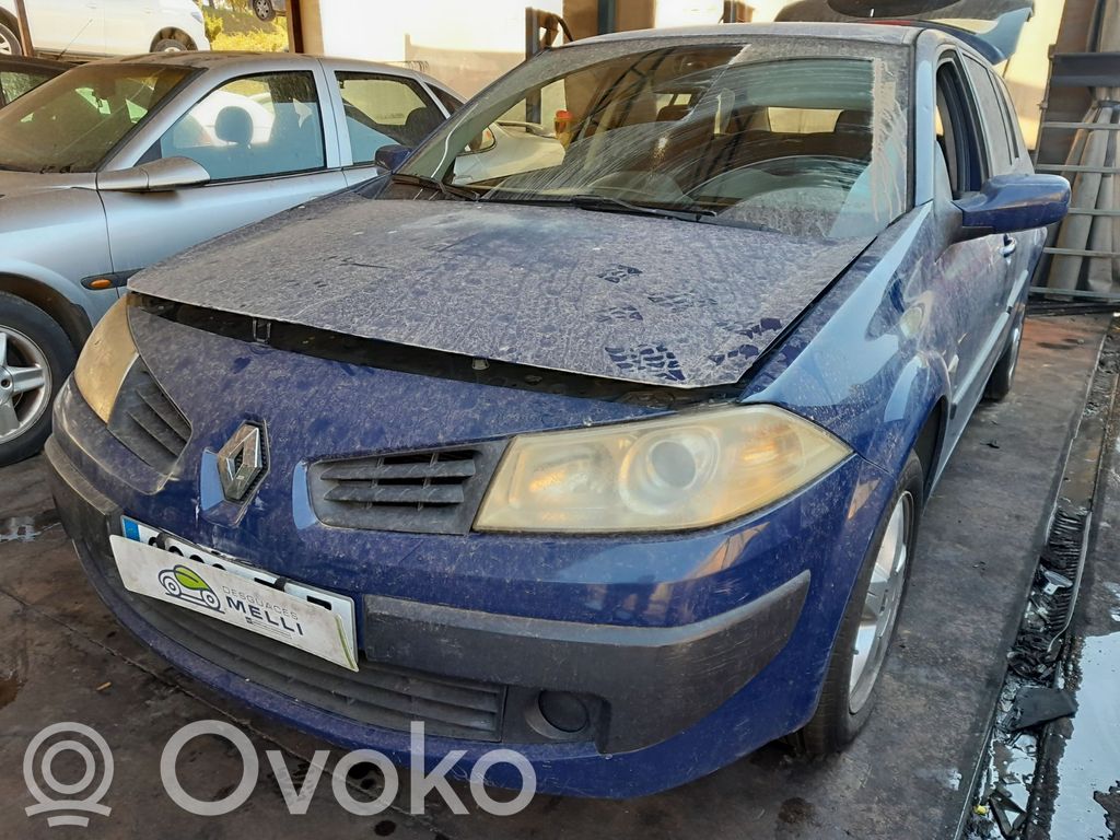 Megane II Megane  8200103769