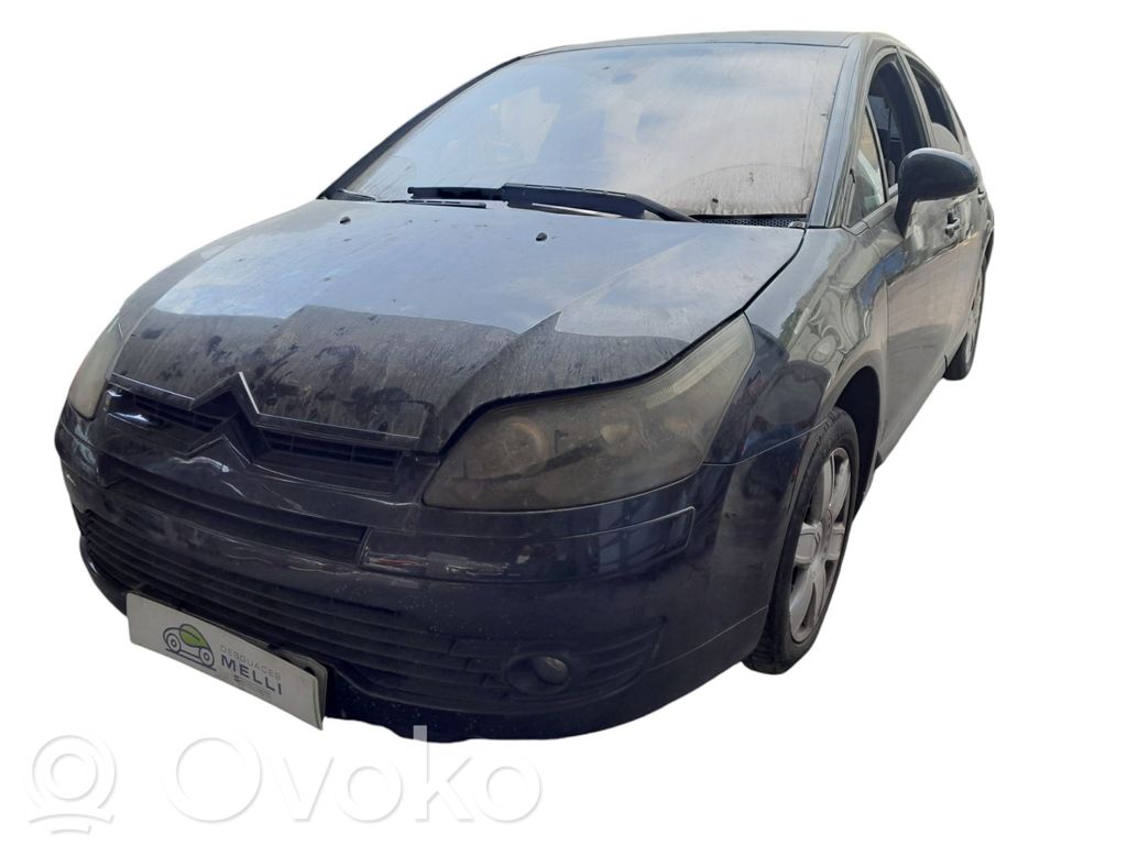 C4 I C4 Picasso, Grand Picasso, Aircross, Cactus  96613462ZD