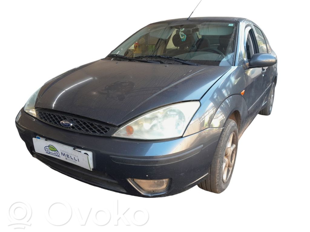 Focus Focus  1202275