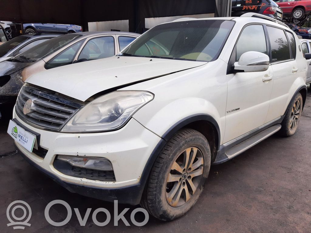 Rexton Rexton  321958W