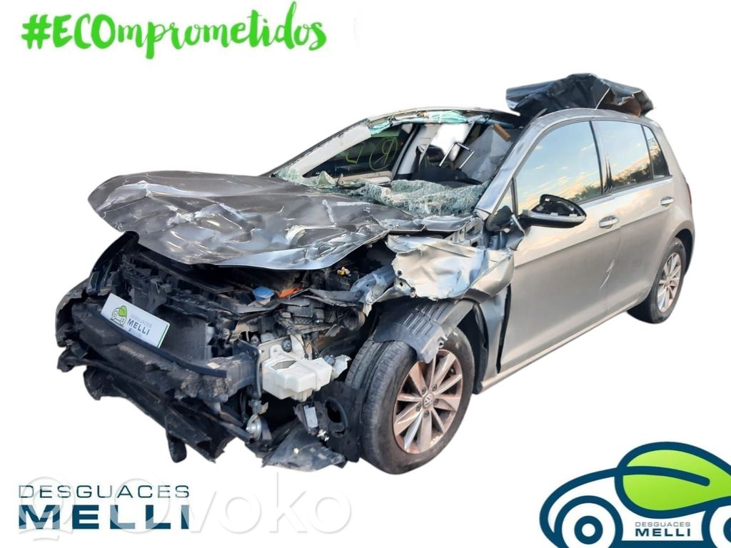 Golf VII Golf  5TA839015E