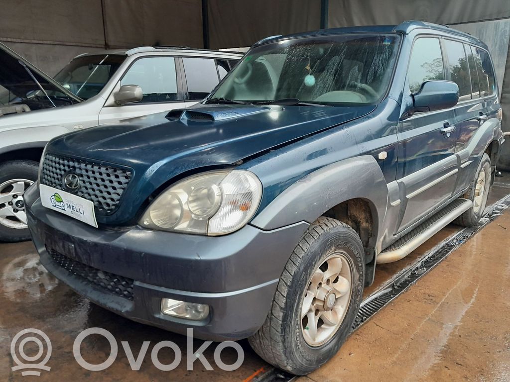 Terracan Terracan  361004X211