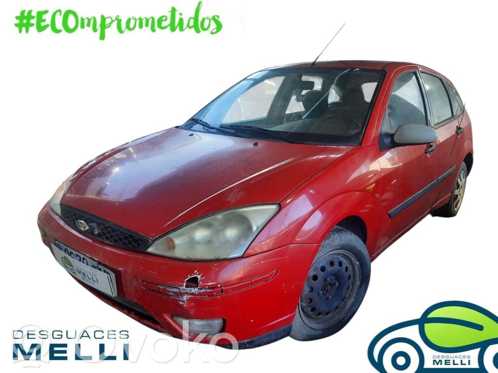 Focus Focus  1202648