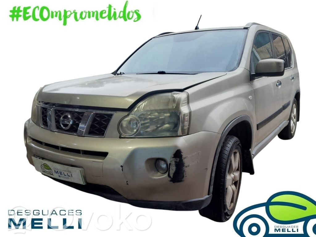 X-Trail T31 X-Trail  25060JG00A