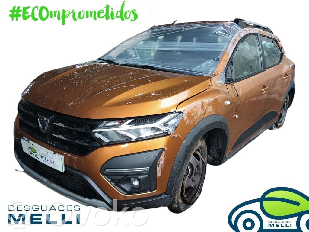 Sandero Sandero, Sandero Stepway  259975285R