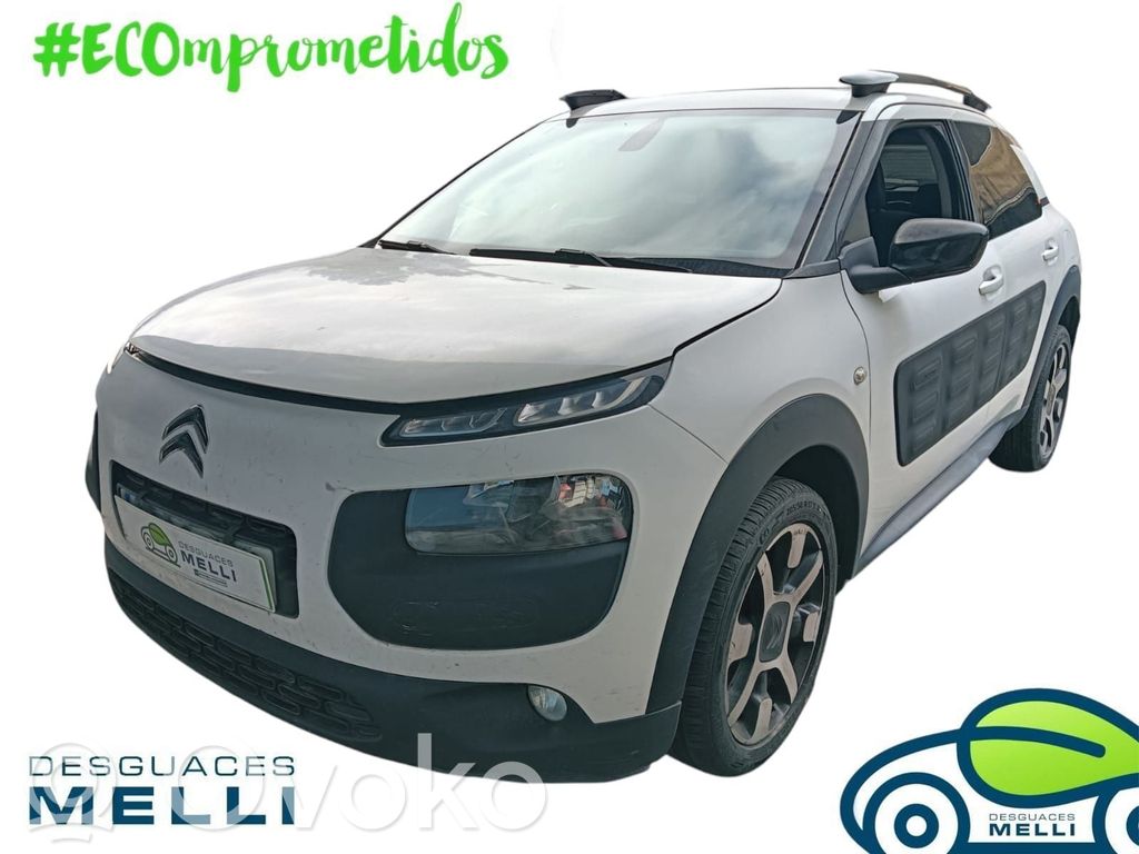 C4 Cactus C4 Picasso, Grand Picasso, Aircross, Cactus  6700003305