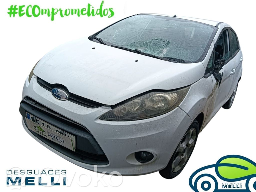 Fiesta Fiesta  1702310