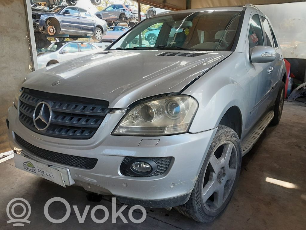 ML W164 ML-class, AMG (W163, W164, W166)  16481024109E86