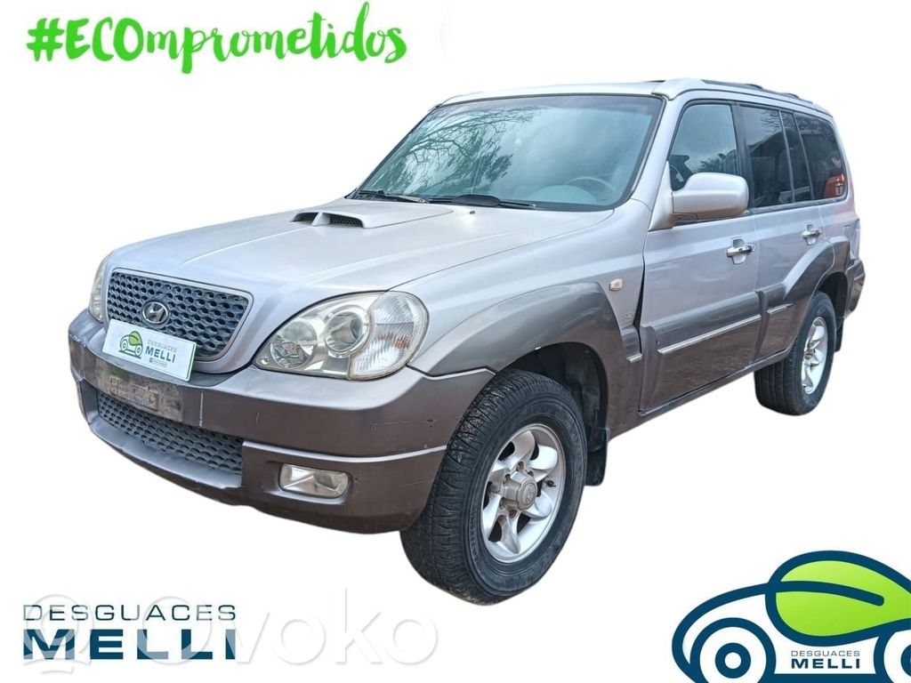 Terracan Terracan  4569631