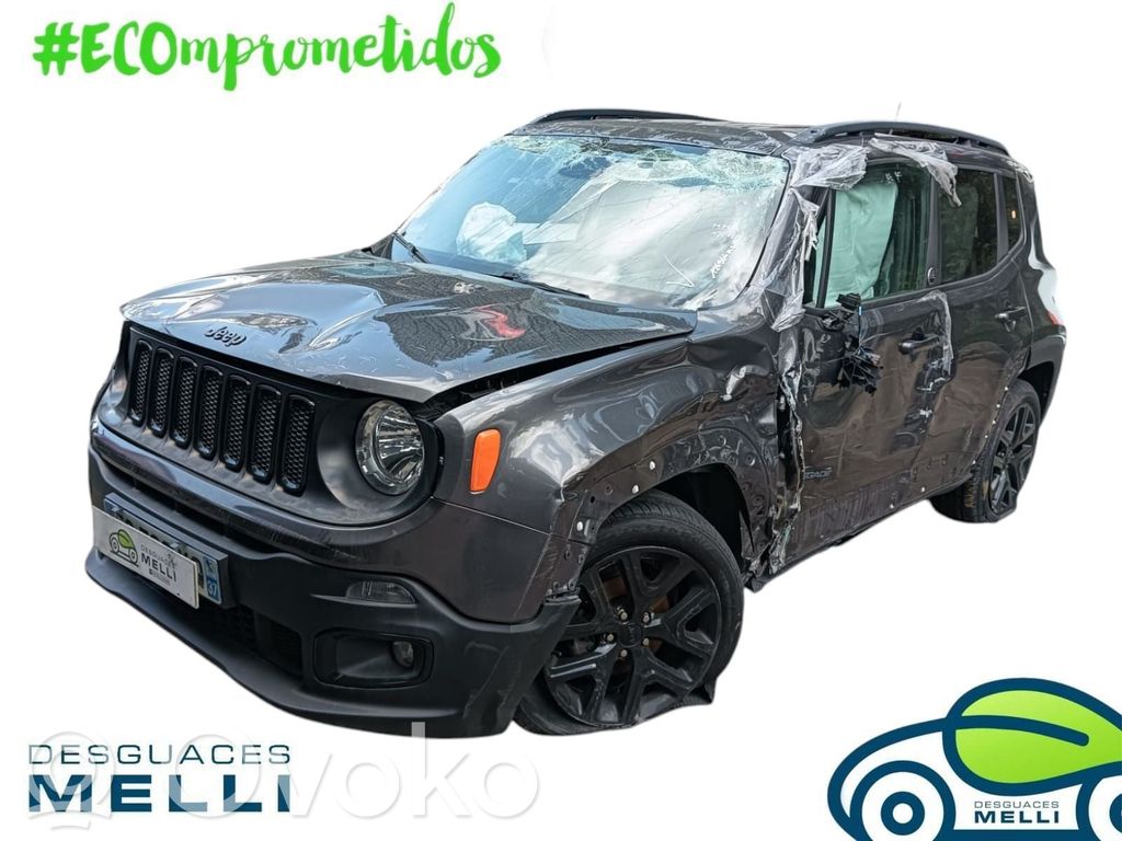 Renegade Renegade  0001138010
