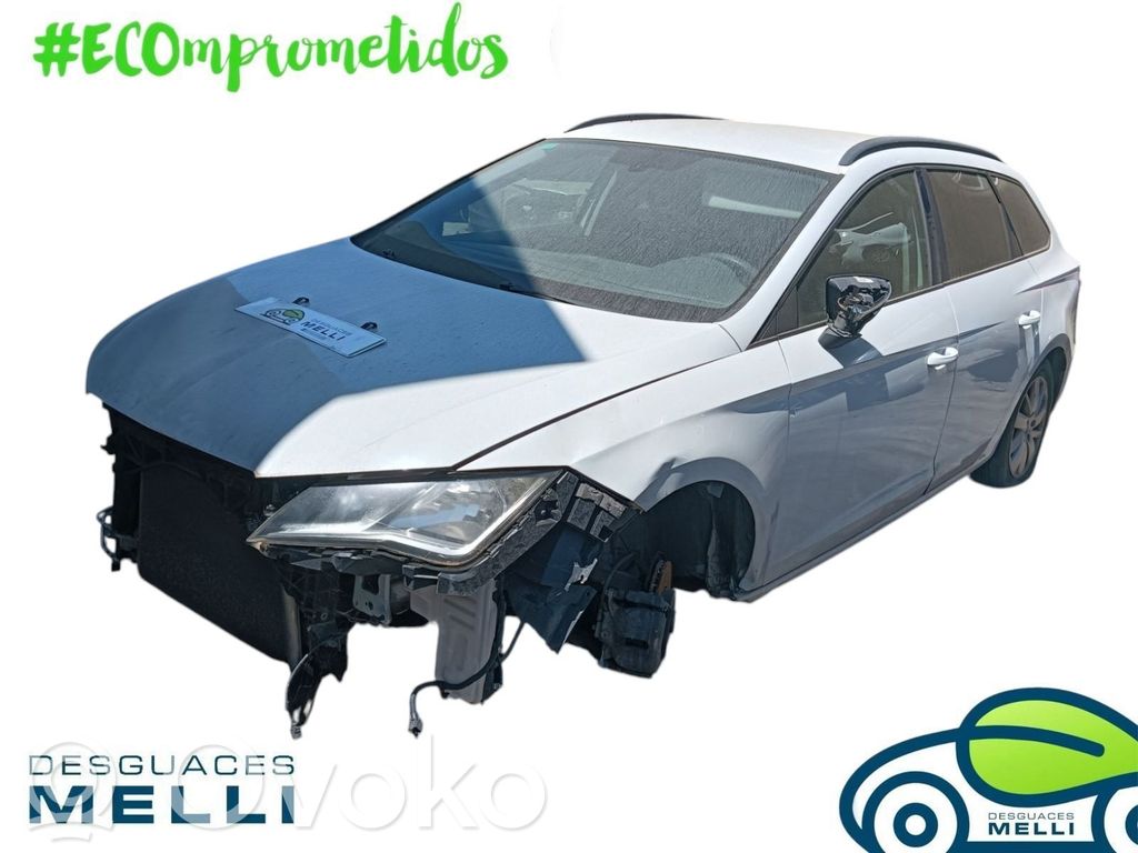 Leon (5F) Leon  5F9955711