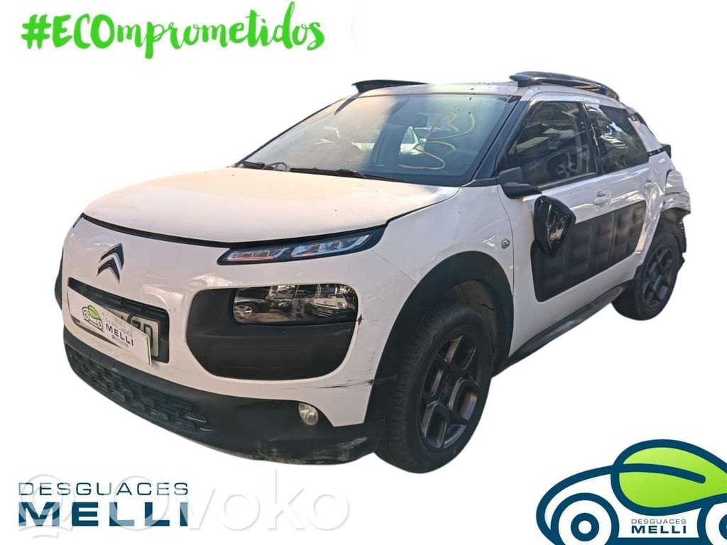 C4 Cactus C4 Picasso, Grand Picasso, Aircross, Cactus  9800916080