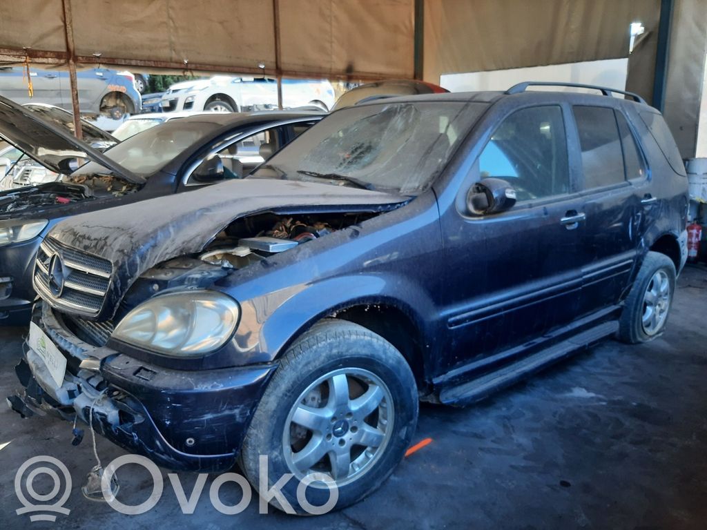 ML W163 ML-class, AMG (W163, W164, W166)  1633500906