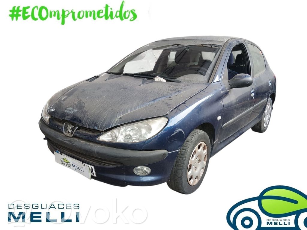206 206, 206+  9650347980
