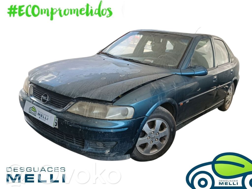 Vectra B Vectra  24437853