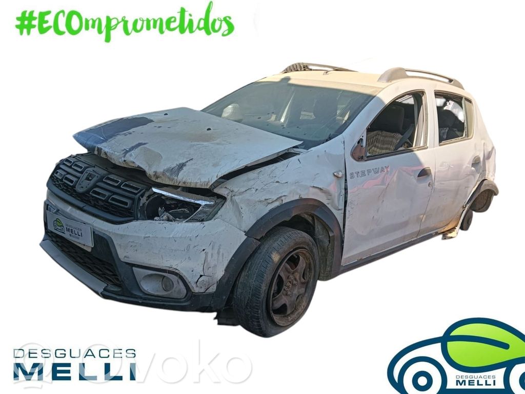 Sandero Sandero, Sandero Stepway  460110232R