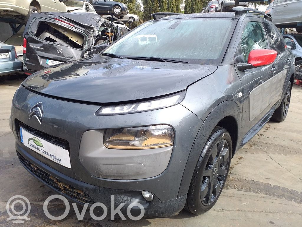 C4 Cactus C4 Picasso, Grand Picasso, Aircross, Cactus  9675749680