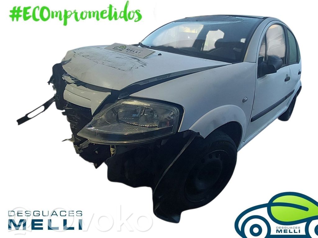 C3 Pluriel C3, Pluriel, Picasso  9006K7