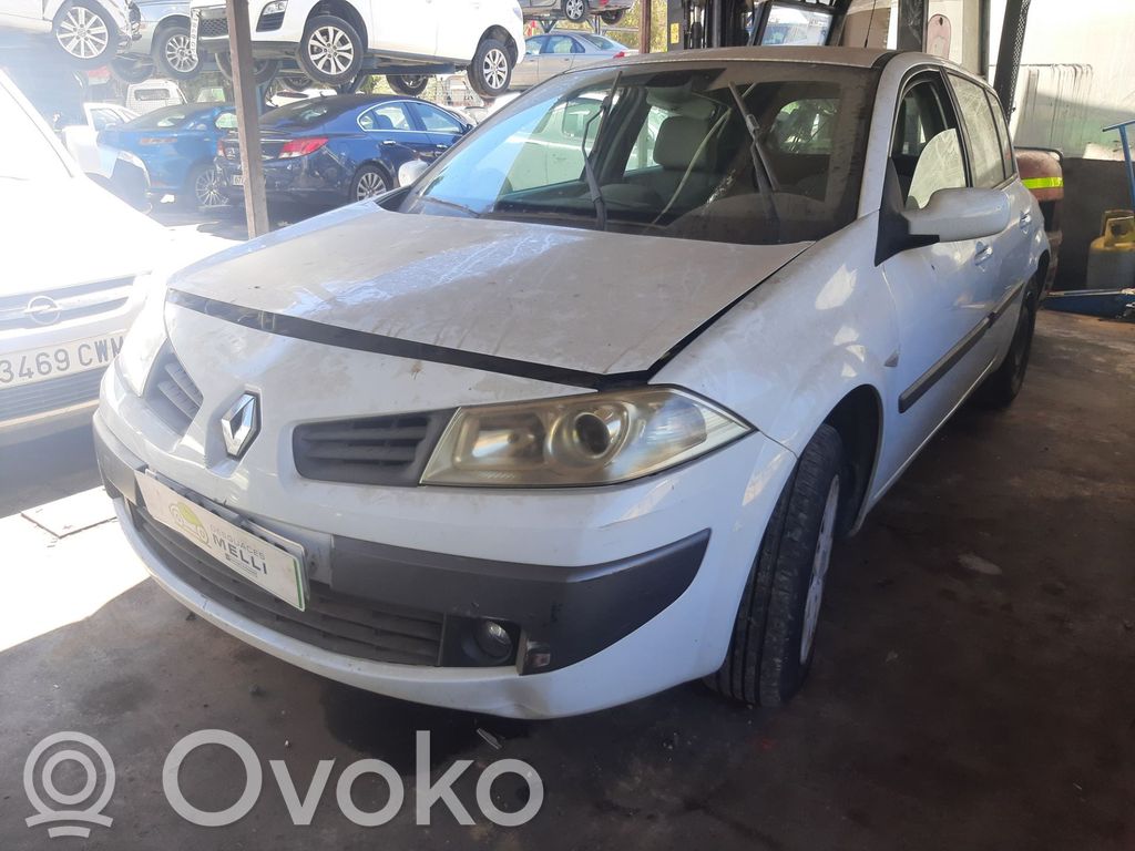 Megane II Megane  8200121805